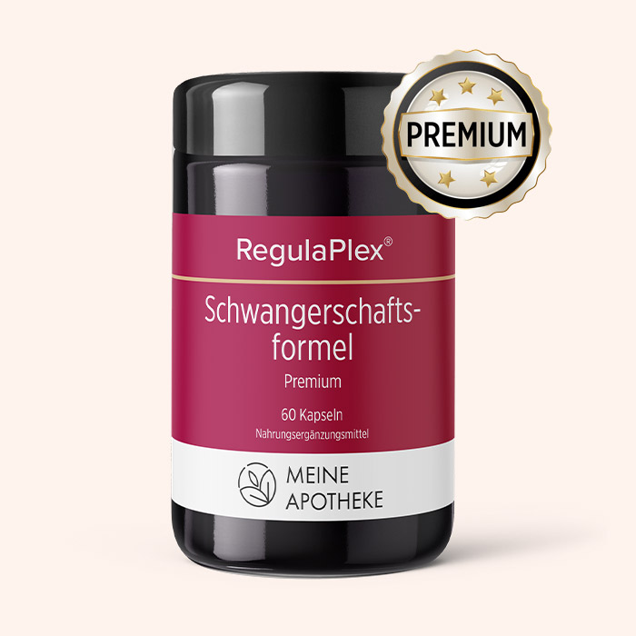 Regulaplex Schwangerschaftsformel Premium 60 Kapseln